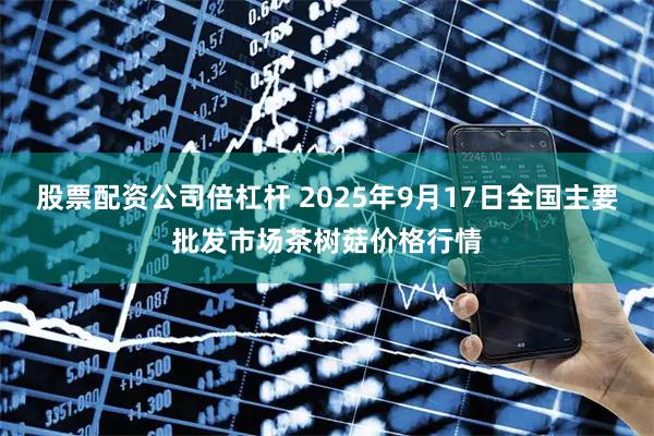 股票配资公司倍杠杆 2025年9月17日全国主要批发市场茶树菇价格行情