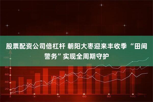 股票配资公司倍杠杆 朝阳大枣迎来丰收季 “田间警务”实现全周期守护