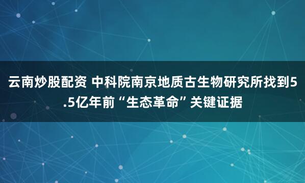 云南炒股配资 中科院南京地质古生物研究所找到5.5亿年前“生态革命”关键证据