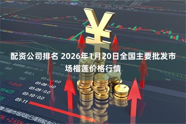 配资公司排名 2026年1月20日全国主要批发市场榴莲价格行情