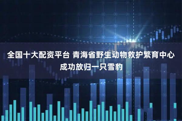 全国十大配资平台 青海省野生动物救护繁育中心成功放归一只雪豹